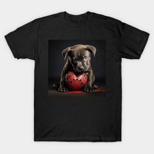 Sad Staffy T-Shirt